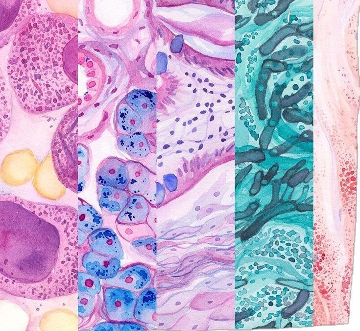 مدخل إلى علم الأمراض التشريحيIntroduction to Anatomic- Pathology